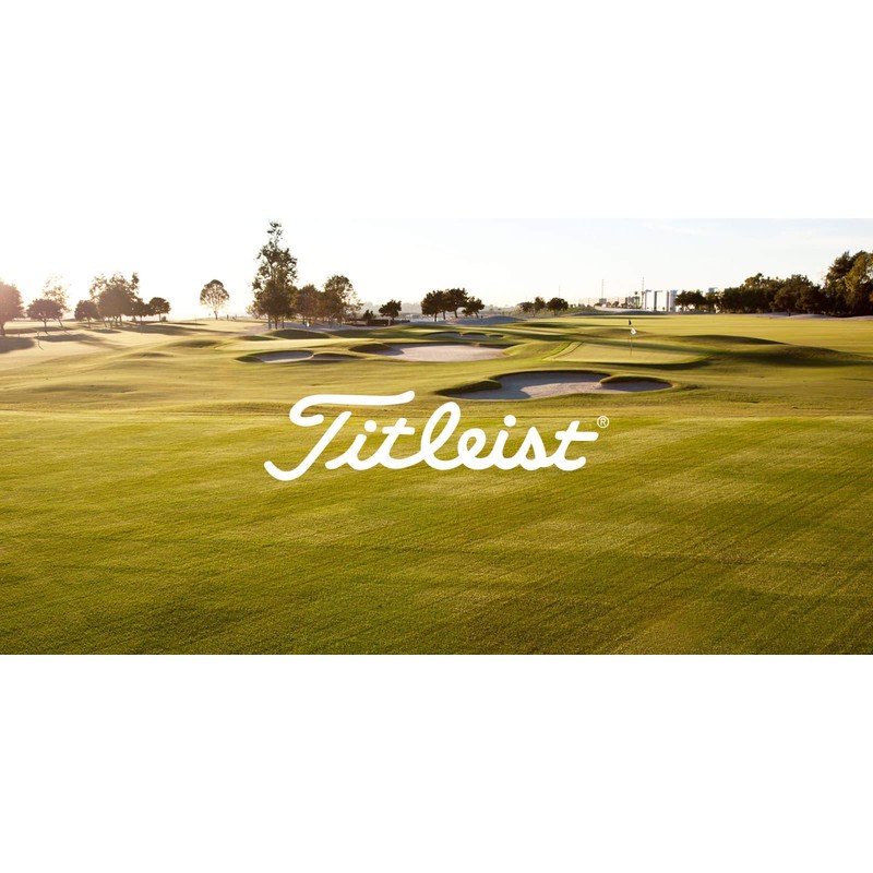 TITLEIST Pro V1 ProV1 Golf Balls 2019 Model Pack of