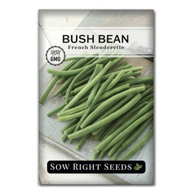 Sow Right Seeds - French Slenderette Green Bean Seeds for Planting - Non-GMO Heirloom Packet with Instructions to Plant & Grow an Outdoor Home Vegetable Garden - Fresh Slender Beans, French-Style (1)