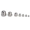 170Pcs Acorn Nuts Dome Head 304 Stainless Steel Caps Nut