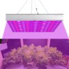 45W LED Growing Lights Panel Greenhouse Grow Lamp for Plant