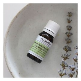Pranarom Rest/Relaxation Pranarom True Lavender Oil 10ml / 휴식/릴랙스 프라나롬 트루 라벤더 오일 10ml
