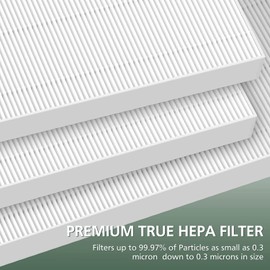 1 True HEPA Filter + 4 Carbon Replacement Filters A 115115 Size 21 for Winix PlasmaWave Air Purifier 5300 6300 5300-2 6300-2 P300 C535 (1)