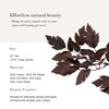 Afloral Plum Fake Cimicifuga Ramosa Leaves - 31"