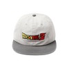 Dragon Ball Z Logo White Adjustable Hat