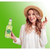 Stewart's Key Lime Soda, 12 fl oz (24 Glass Bottles)