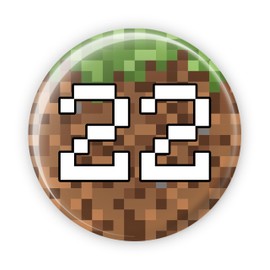 22 22nd Birthday - Inspired by Mine Crafting Crafts Video Game Gaming Gamer Birthday Badges Pin Button Badge - Large 76 mm