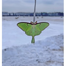 d’ears luna moth ornament, made in the U.S.A., family run small business, #8434, great gift for luna moth or moth lovers.