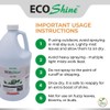 Environmental Plant Management ECO Shine | Oil-Free Leaf Shine Spray