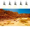 Desert Reptile Tank Background Blue Sky Rock Boulders Terrarium Background