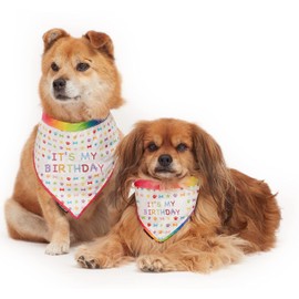 Pet London Dog or Cat Birthday Bandana Reversible in Fun Happy Bright Colours - Celebrate Dog's Happy Birthday for Boy or Girl-Rainbow Pattern, Party Bday or Adoption Gift Celebration