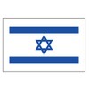 PremiumTT Large Israel Flag Tattoos - Waterproof, Multicolor, 8 Pieces