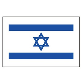 PremiumTT Large Israel Flag Tattoos - Waterproof, Multicolor, 8 Pieces