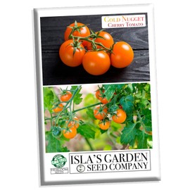 Gold Nugget Cherry Tomato Seeds for Planting, 25+ Heirloom Seeds Per Packet, (Isla's Garden Seeds), Non GMO Seeds, Botanical Name: Solanum lycopersicum 'Gold Nugget', Great Home Garden Gift