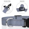 TagME Reflective Nylon Dog Collars, Adjustable Classic Dog Collar with