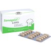 Sanagast Laves Tablets Pack of 60