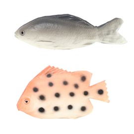 2 PCS Fake Fish, Big Fishs, Realistic Fake Fish Toy Set, Perfect for Home Decor, Pretend Artificial Grey Carp Lifelike Striped Bass Ornament Hanging, Party Themes, and Educational Play