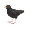 Pflanzen Kölle Iron Blackbird, Black, Approx. 17 x 6 x