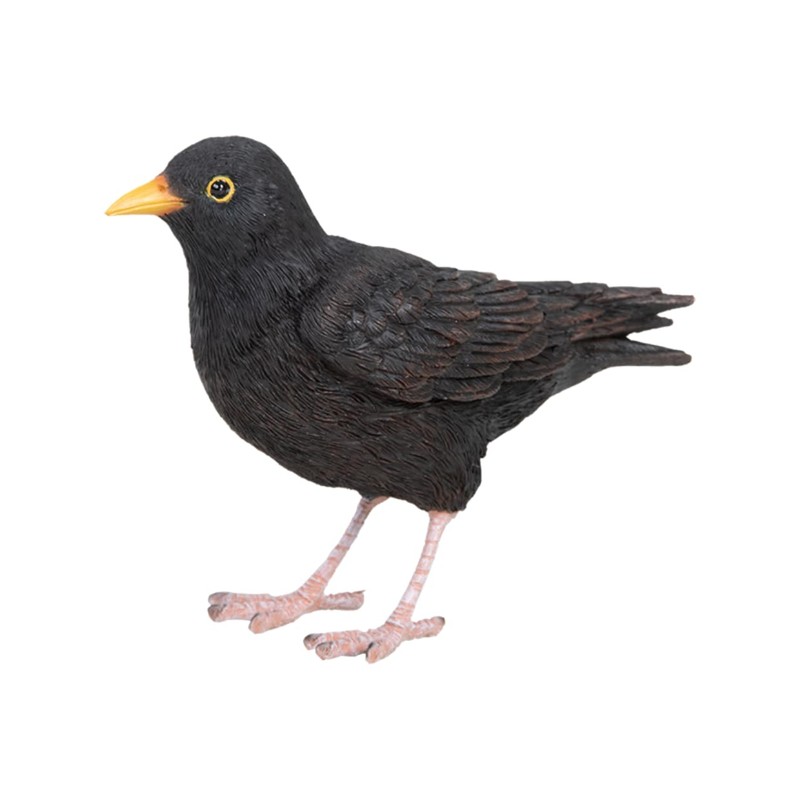 Pflanzen Kölle Iron Blackbird, Black, Approx. 17 x 6 x