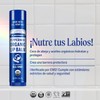Dr. Bronner's Bálsamo Labial Orgánico Menta, Fórmula Hidratante y Refrescante