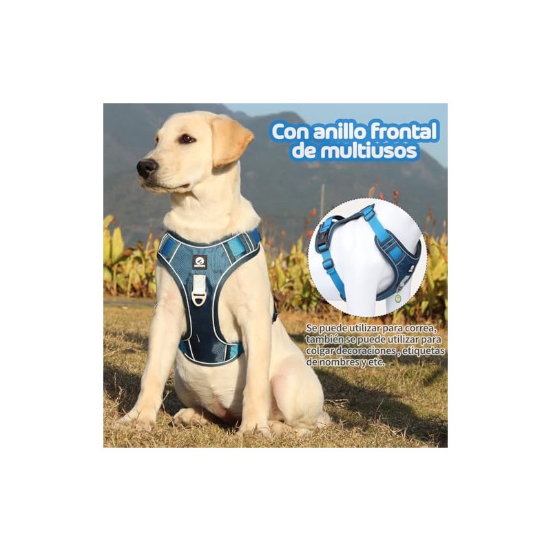 MESVIER Arnés para Perro Ajustable Reflectante Transpirable con Correa 1.5m