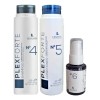 Lendan Plexforte Shampoo + Acondicionador + Aceite N°6