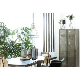 American Plant Exchange Monstera Deliciosa – Live 10-Inch Pot Swiss Cheese Plant, Large Statement Houseplant, Easy-Care Low-Maintenance Air Purifying Tropical Vine for Home, Office & Garden Décor