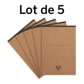 Clairefontaine Flying Spirit 103646C Pack of 5 Pads, Glued at the Head, DIN A6, 70 Sheets, Lined, Brown Assorted Designs, 1 Pack