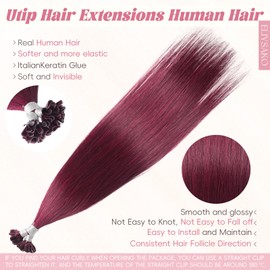 Eliysako Professional U Tip Hair Extensions Real Human Hair #99J Burgundy 22inch 40G Heat Resistant Remy Extensions with U Tip Bonds Natural-Looking Human Hair Extensions for Daily Styling