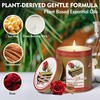 2 Pack Scented Candles (90 Total Burn Hours) - Soy