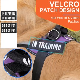 Essential Dog Harness, No Pull Pet Harness with 3 Side Rings for Leash Placement, No Choke, Reflective, Easy On-Off & Improved Control Handle, Training, Walking, Running (Purple, M)