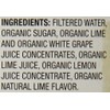 Santa Cruz Organic Limeade, 32 Ounces