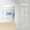 ela nutrition Collagen peptides performance gold Péptidos bioactivos de colágeno