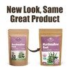 50 Bags Dried Marshmallow Root Tea Marshmallow Root Herb Herbal