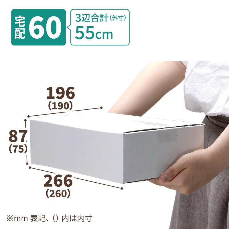 Earth Cardboard, 60 Size, Set of 10, B5, Depth 29.5