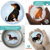Hand Warmer Pocket Warmer Sets Finger Warmer Against Cold Hands