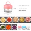 Manual Food Chopper for Vegetable Fruits Nuts Onions Garlic Ginger