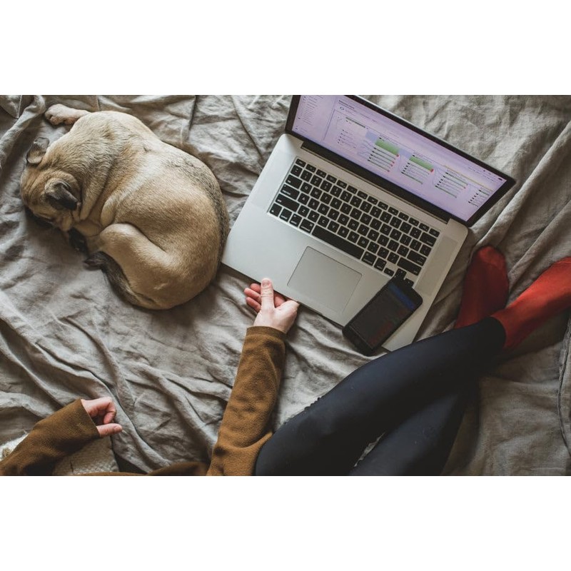 OMNIHIL 5 Feet USB Type A to Type C Cable