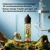 Food Flavour 5 x 10 ml, Intensive Aroma Concentrate, Ideal