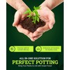Ocean Forest Potting Soil, 12qt – Light, Aerated Texture, Designed