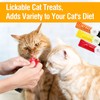 Xcdsxer Cat Treats,Lickable Cat Treats,Squeezable Cat Treats,Nutritionally Balanced to Promote