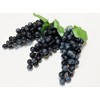 V517N Grape Sample Realistic Food Sample Fruit Fruit Display Ornament