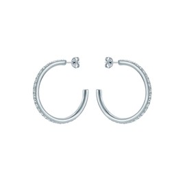 Ted Baker Clanci Medium Crystal Hoop Earrings for Women (Silver/Crystal)