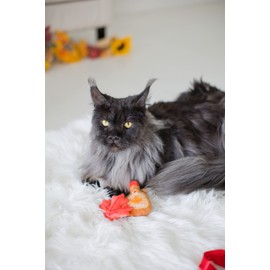 Pearhead Maple Leaf Cat Toys, Holiday Pet Toy, Thanksgiving Cat Toy, Crinkle and Cat Nip Toys, Cat Teaser Toys, Must Have Pet Accessories for Pet Owners, Toys to Play Chase Exercise, Set of 2