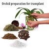 JFWOD 6QT Orchid Potting Mix with Moss Pine Bark Mulch