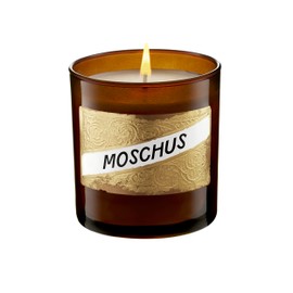 C.O.Bigelow Soy Wax Candle, Moschus (Musk), Scented Candle for The Home with Gift Box, 60 Hour Burn Time, 9 oz Candle, Vegan, Hand Poured Candle with Cotton Wick for Fall and Holiday