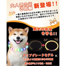 OGURIYA Dog Light Collar, 10 Minutes of Charge, Can Be Used for 180 Minutes, Dog Walking Light, Collar, Small Dogs, Medium Dogs, Large Dogs, Size Trimmable, Pet Supplies, Ultra Lightweight, Easy to