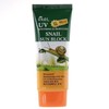 Sunblock Ultraviolet Skin Protection Snail 70ml / 썬블록 자외선 장시간 야외활동 피부보호 스네일 70ml