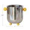 Creative Co-Op, Silver Stainless Steel Ice Bucket with Ball Handles