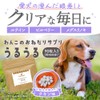 ogaland 犬 目 サプリ アイケア 90粒 約45日分 サプリメント ルテイン ビルベリー