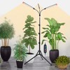 Orchbloom 3-Head Grow Light with Stand and Timer, 27 Watt